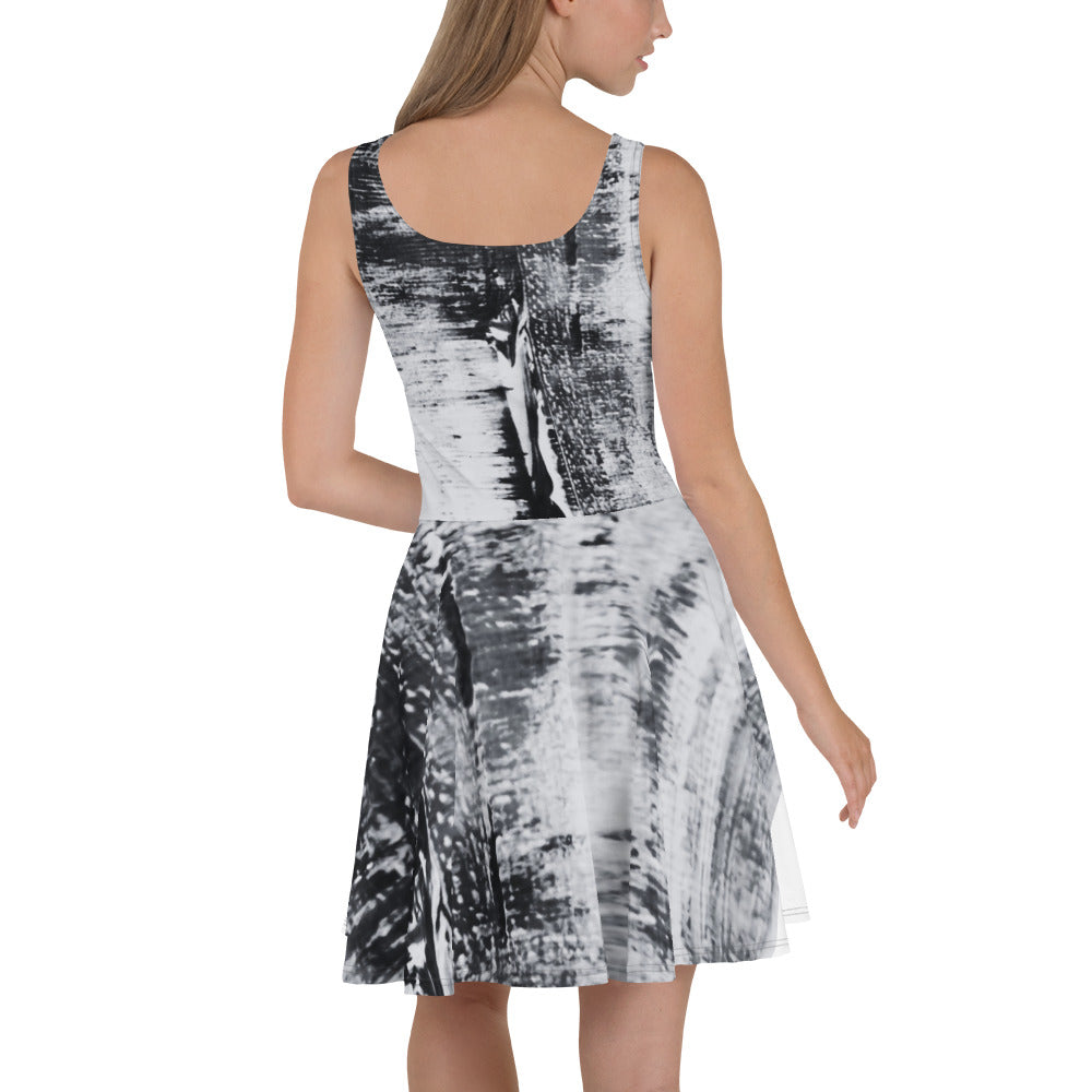 An Artist's Eye Skater Dress