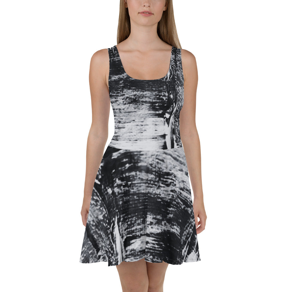 An Artist's Eye Skater Dress