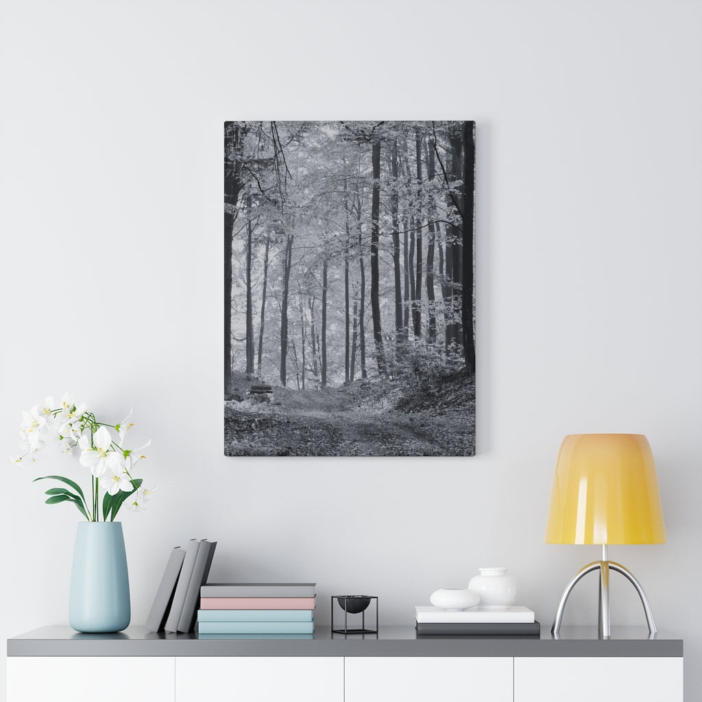 Into the Woods 18 x 24 Gallery Wrapped Canvas Print