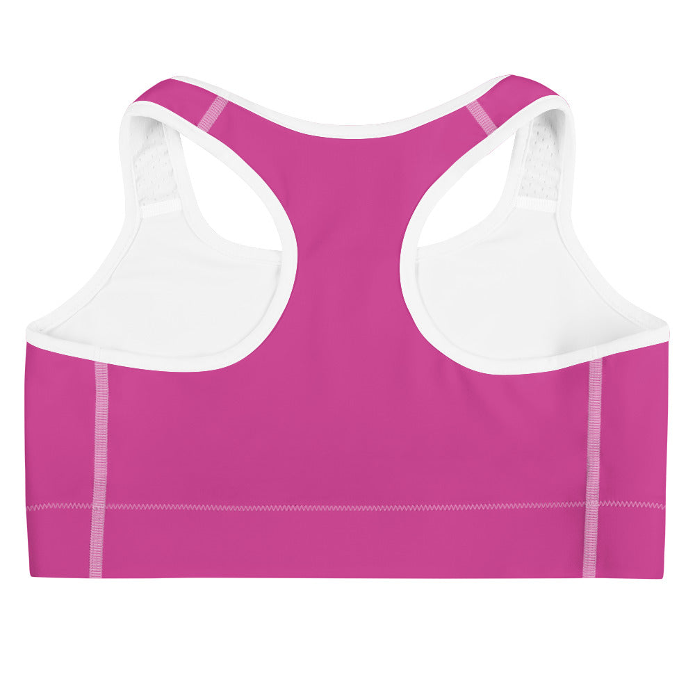 Lake Simcoe Sports bra in Hot Pink