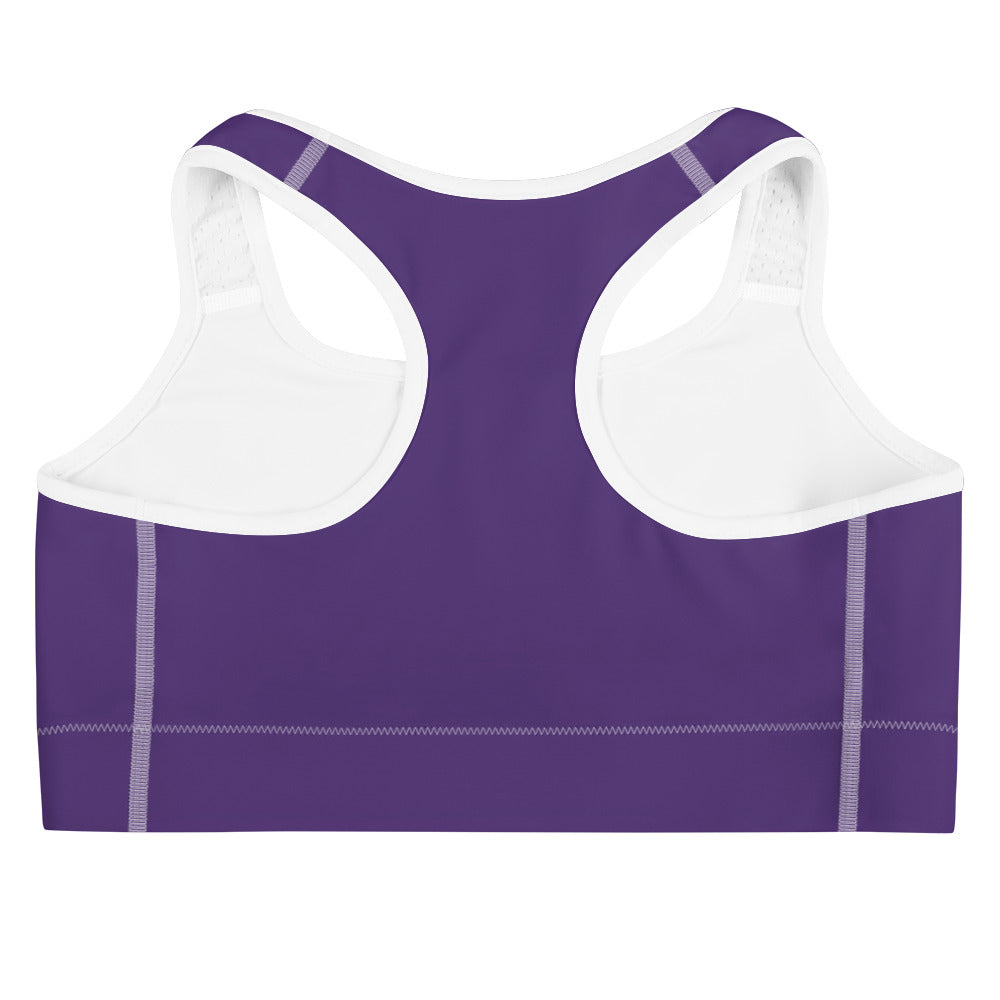 Lake Simcoe Sports bra in Purple