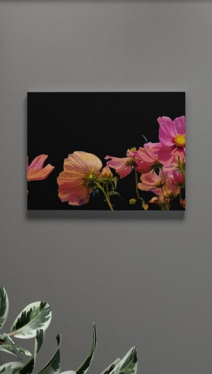 Cosmo lll 18 x 24 Gallery Wrapped Canvas Print