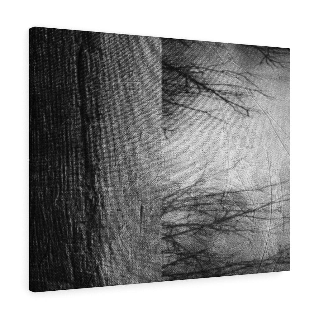 Atra 30 x 24 Gallery Wrapped Canvas
